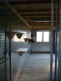 Intérieur du box commun chats